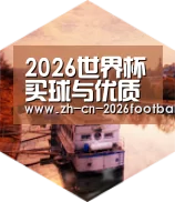 世界杯买球中德合璧 实力可鉴