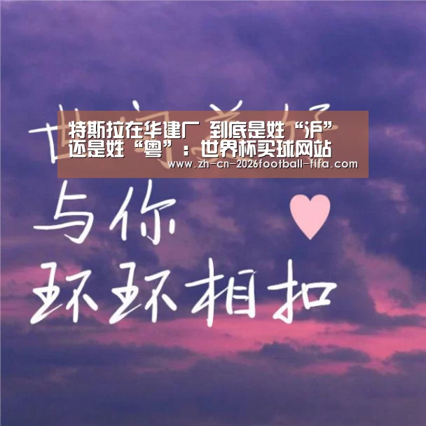 特斯拉在华建厂 到底是姓“沪”还是姓“粤”:世界杯买球网站(图4) 世界杯买球平台