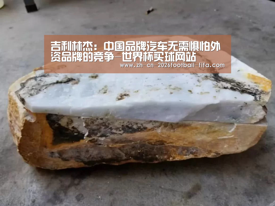吉利林杰：中国品牌汽车无需惧怕外资品牌的竞争-世界杯买球网站
