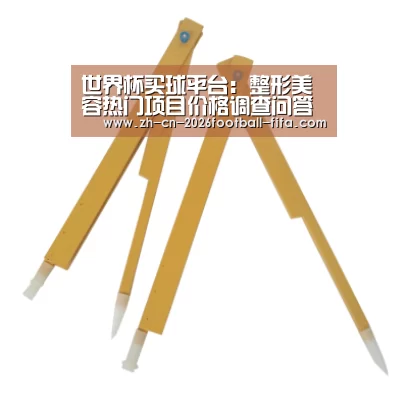 世界杯买球平台:整形美容热门项目价格调查问答(图1) 世界杯买球